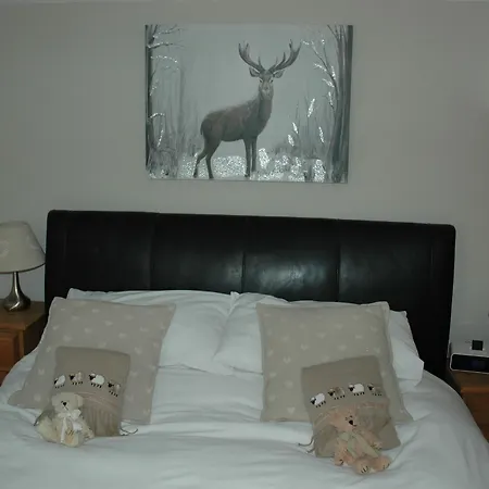 Holmedale Bed And Breakfast Bed & Breakfast Leyburn