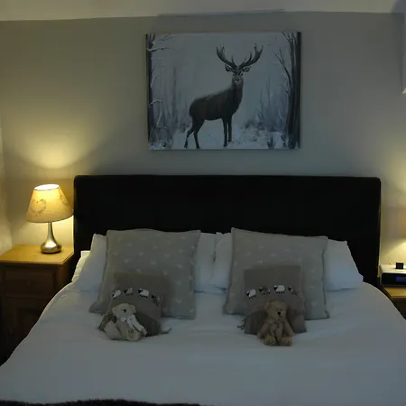 Holmedale Bed And Breakfast